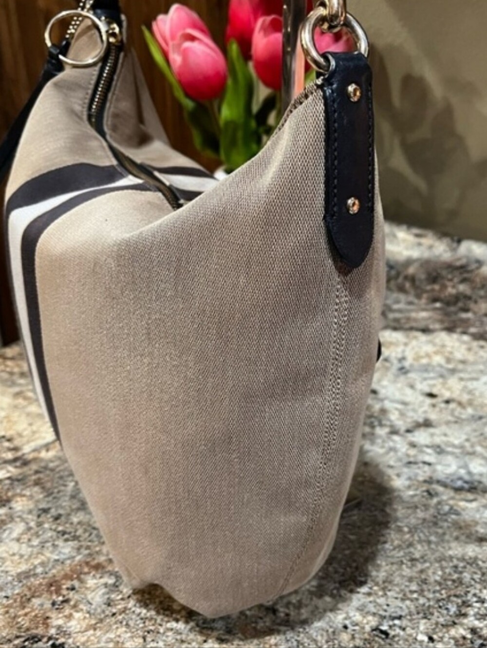 Coach Skylar Hobo Bag with Varsity Stripe - MRSP $398 - Picture 4 of 13